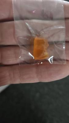 Customer review - And a wee bear too