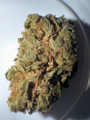 Customer review - Budget high seed count Gorilla Glue. Not worth of a neg revi