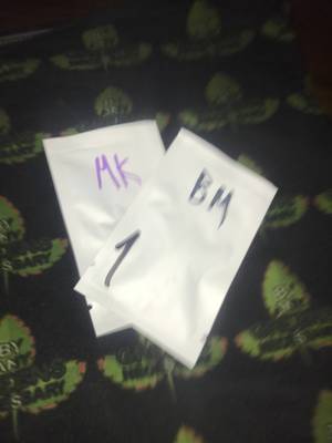 Customer review - Mango Kush and Biscotti mintz GB is the best